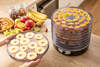 ჩირის აპარატი Sencor SFD 3109BK Food Dehydrator