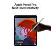 Apple 13-inch iPad Pro M5 Wi-Fi 256GB withstandard glass - Space Black Model A3360