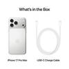 Apple iPhone 17 Pro 1 TB - Silver