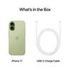 Apple - iPhone 17 256GB Sage (e-SIM Only)