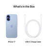 Apple - iPhone 17 256GB Mist Blue - (e-Sim only)
